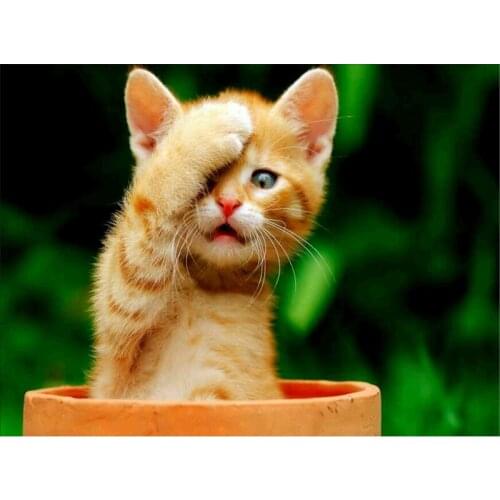 Resin Drill 5D diy diamond Painting Cross Stitch kits 3d diamond embroidery Lovely cat animal picture Mosaic pattern home decor