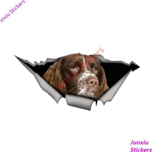 Springer Spaniel Car Sticker Torn Metal Reflective Decal for Bumper Guitar Truck Window Waterproof 3D Pet Dog Decals PVC13x6cm