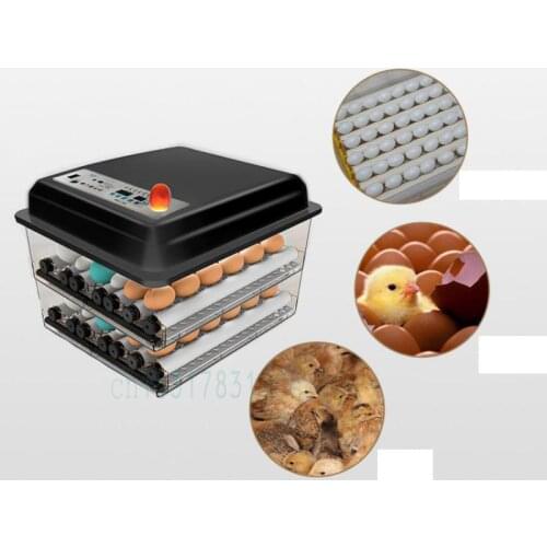 Chicken, Duck And Goose Incubator Small Home Full-automatic Intelligent Incubator Water Bed Mini Full-automatic Incubator