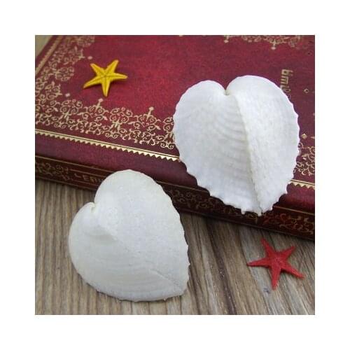 Chicken Heart Clam Shell Conch Heart Shaped Shell Love Heart Shell Cockle Fish Tank Floor Wedding Gift Natural Specimen