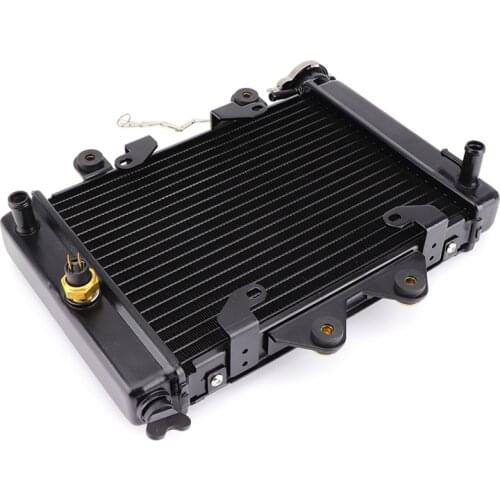 200cc 250CC Water cooling engine cooler Radiator cooling 12v fan for motorcycle moto Quad 4x4 ATV UTV parts