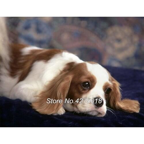 Diy Diamond Painting Cross Stitch cavalier king charles spaniel Dog 5D Diamond Mosaic Set Unfinished Full Embroidery YG244
