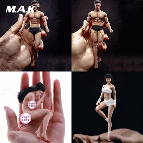 Collectible In Stock TBLeague 1/12 Scale Super-Flexible Female/Male Seamless Head Body Full Set Action Figure for Fans Gifts