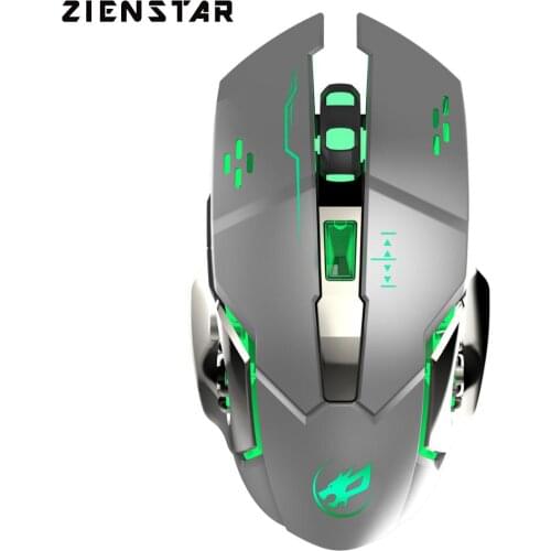 ZIENSTAR Gaming Mice