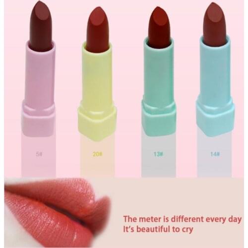 Lipstick Gift Box Moisturizing Mist Face Glossy Long Lasting Lipstick Waterproof Sweatproof Lipstick Women Cosmetics TSLM1