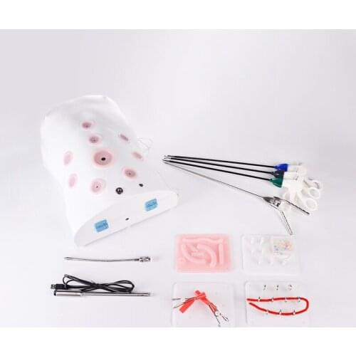 Simulated human laparoscopic simulation trainer 1:1 ratio HD endoscope high quality laparoscopic surgery tool sets