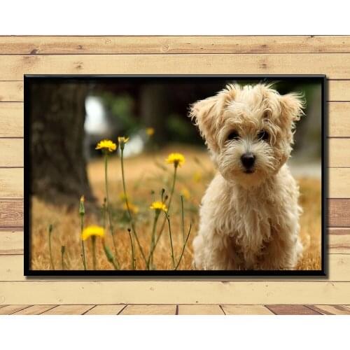 Dog Cute Animal (1) Wall Posters Prints Silk Art Painting For Home Wall Bedroom Decor