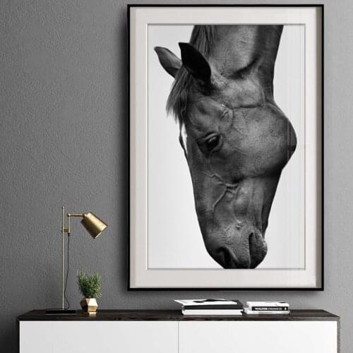 Modern Horse Poster Canvas Paintings Black White Wall Art Print Pictures for Living Room Interior Home Decorations No Frame