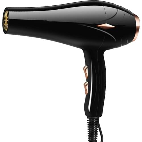Hair Dryer with Ionic Conditioning, AC Motor Professional Hair Dryer Fast Drying, Hair Care Dryer, 2 Speeds, 3 Heating