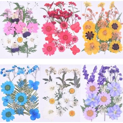 Dry Flower Material Bag Embossed DIY Candle Making Mobile Phone Case Photo Frame Decoration Bookmark Juan Fan Desk Lamp