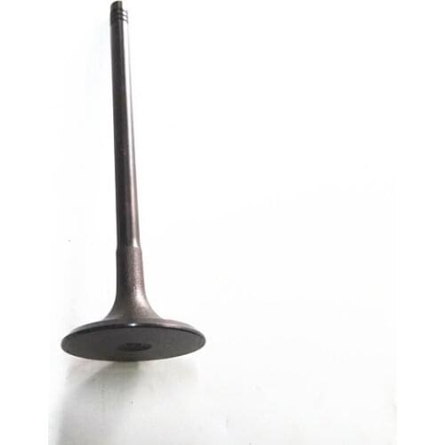 16pcs/set) Intake valve / exhaust valves 2 models for Chinese CHERY TIGGO SUV 481/484 E4G16 Engine Auto car motor part