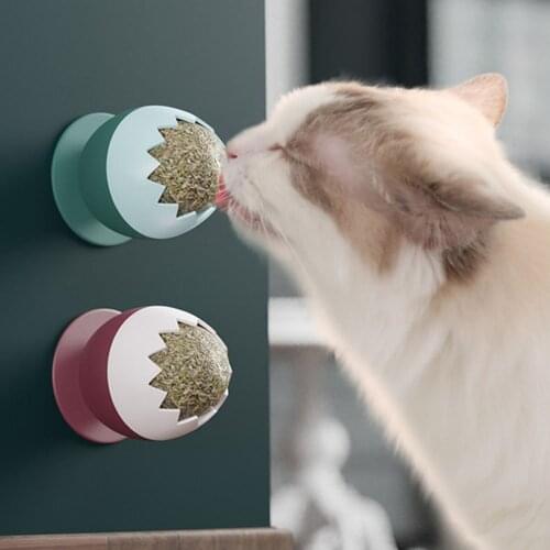 2 Colors Natural Healthy Catnip Cat Toys for Kitten Edible Treating Cleaning Teeth Pet Cat Supplies Pet Toy Products