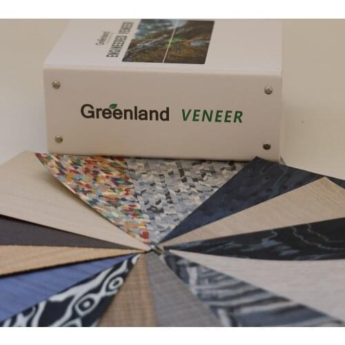 NEW 200 Species Engineered Natural Wood Veneer Sample Book