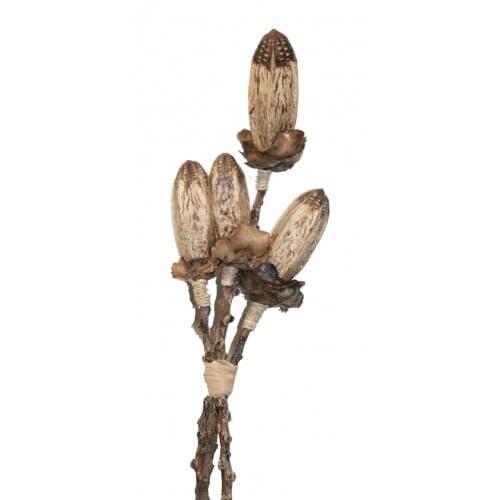 CAL FUSTER Home And Garden Products