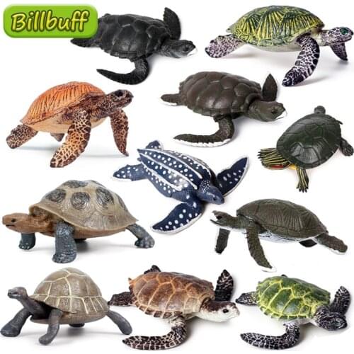 Simulation Ocean Animal Sea Turtle Series Model Action Figures Collection Miniature Cognition Educational Toys for children Gift