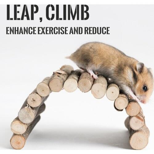 Reptiles, Tortoises, Hamsters, Lizards, Golden Bears, Shelter, Climbing Ladders Fashion Delicate Personality Brand New