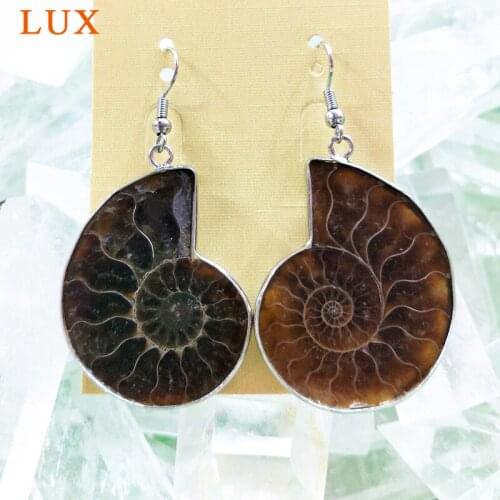Natural Ammonite Charm Earring silver plated Real Fossilized Ammonite Dangle Earring shell jewelry