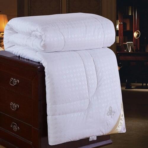 RUO YI LAN Winter Blankets For The Bed