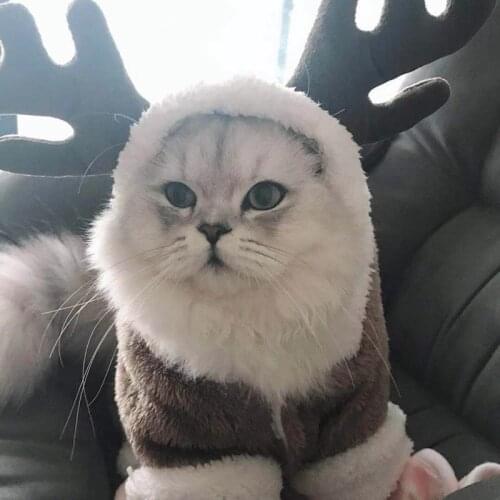 Winter Thicken Pet Cat Clothes For Cats Warm Fleece Cat Costumes Christmas Kitten Kitty Jumpsuits Cat Coat Jacket Pets Clothing