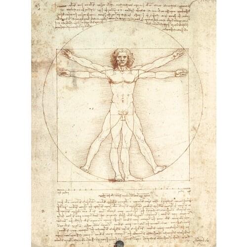 Home decor posters portrait canvas painting home art modern decorative pictures masterpiece Vitruvian Man By Leonardo da Vinci