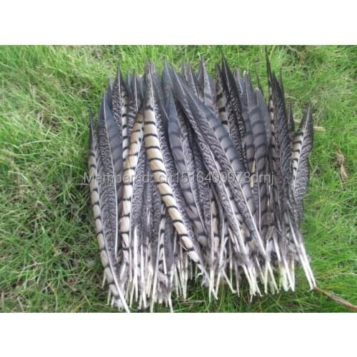 Wholesale 100 natural color pheasant feathers 35-40 cm 14-16 inches for wedding dance celebration DIY decoration