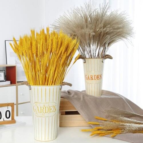 Natural wheat reed dried flowers home decoration ornaments real flowers air-dried bouquet wedding party decoration50-188PCS
