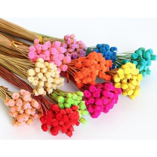 50pcs Natural Dried Flower Bouquet DIY Real Plants Flower For Home Wedding Party Decoration Shooting Props Gifts