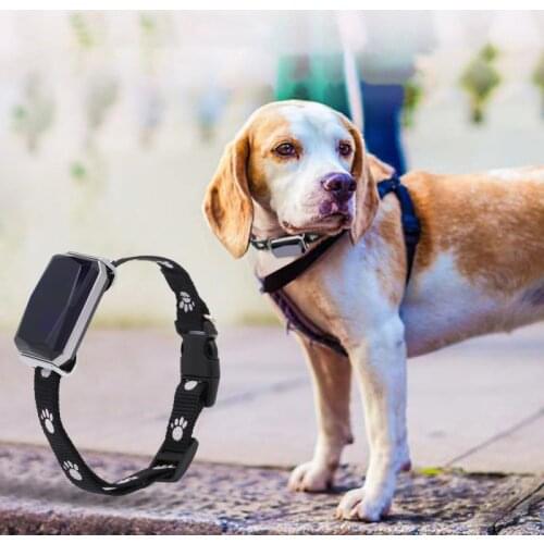 GSM / GPS Tracker double positioning dog collar to prevent loss / accident of dog collar pet products