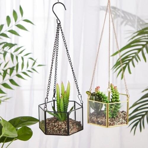 Modern Hanging Glass Terrarium Geometric Hexagon Shaped Succulent Air Plant Holder Container Wall Planter Flower Pot