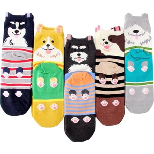 2020 womens colorful cotton socks 5pairs/lot autumn-winter warm socks ladies and girl fashion art animal socks