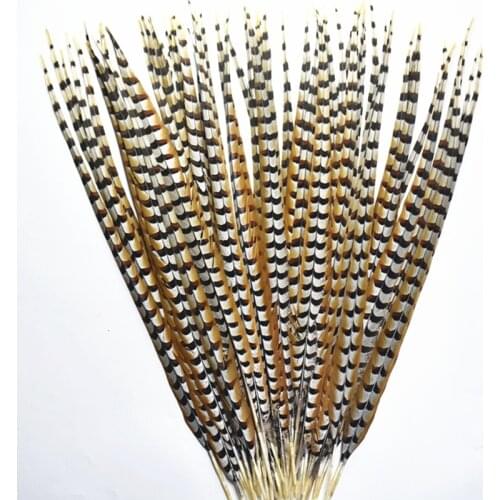 Natural Rare Pheasant Tail Feathers for Crafts 4-72inch Reeves Venery Pheasant Tail Feather Carnival Costumes Decoration Plumas