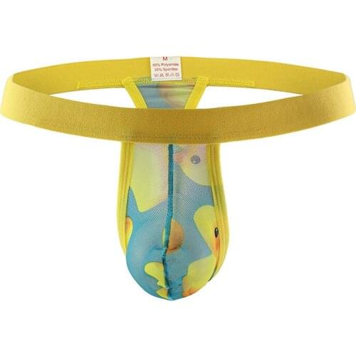 Mens Underwear Sexy Mesh Transparent Ultra-Thin Men Thongs Panties Stylish Tight Cool Pants