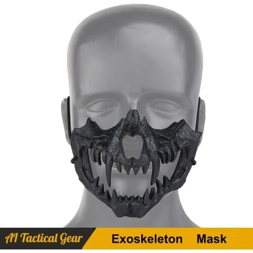 Tensdarcam Training Masks