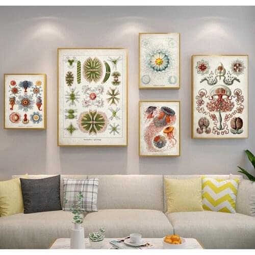 Starfish Canvas Print Wall Art Canvas Painting Marine Creatures Vintage Poster Jellyfish Corals Green Algae Sea Anemones Squirts