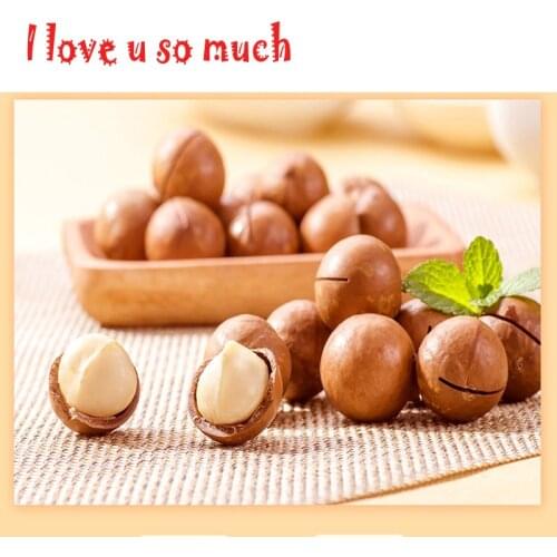 Quality Macadamia Nuts with Shell Hawaii Nut 1000g/lot Food in Bulk Weight Cream flavor Eat Directly Snack Crispy ,Chinese food