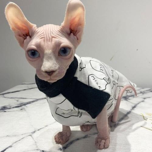 Pet T-shirt High Collar Breathable Cotton Cat Two-legged Shirt for Summer clothes for small dogs ubranka