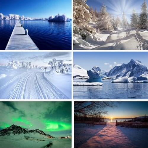 SHENGYONGBAO Vinyl Custom Photography Backdrops Prop Winter landscape Theme Photography Background 200309HD-07