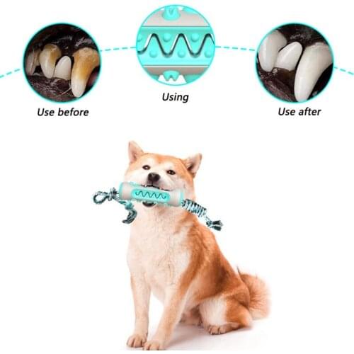 Pet Chew Toys Bone Shape Pet Molar Stick Dog Toothbrush Aggressive Chewer Tooth Cleaning Chewing Playing Toys