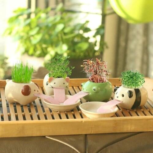 Cute Frog/Pig/Polar Bear/Cat Ceramic Flower Pot Small Cartoon Planter Succulent Plants Bonsai Cactus Pot Home Garden Decor
