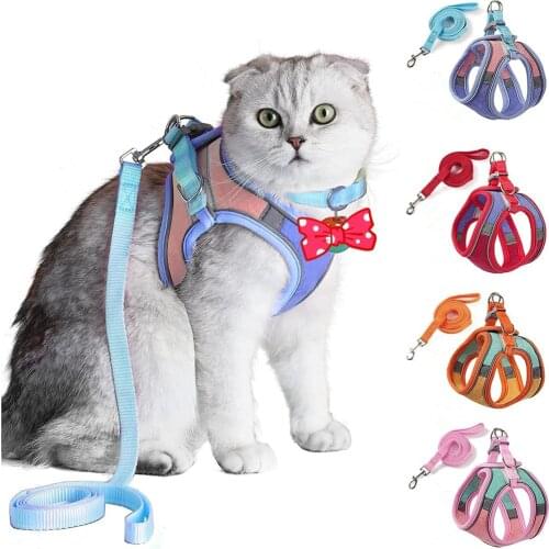 Cat Harness Fashion Reflective Vest Pet Harnesses Outdoor Walking Small Cats Dogs Floral Print Harness Collar Cat Accessories