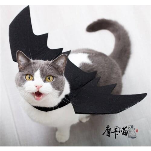 Halloween pet clothes, cats and dogs, black bat wings, turned into COS, funny holiday costumes