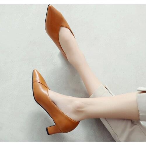 2020 new spring and autumn small shoes womens shoes large pointed thick heel middle single shoes 40 shallow mouth 43 versatile