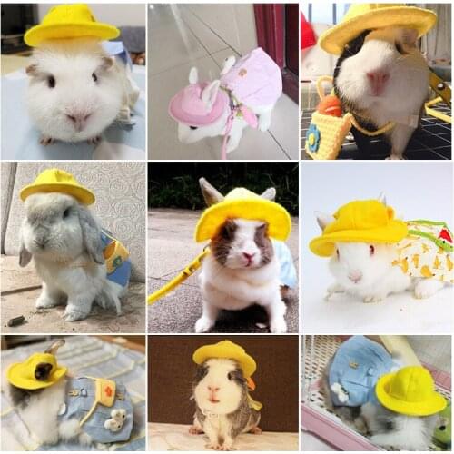 Dutch pig rabbit rope supplies clothes winter pet skirt five piece suit hat backpack traction rope travel day casual dress