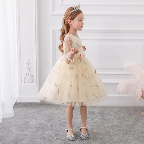 2021 New Girl Princess Dress Skirt Small Xiangfeng Long-sleeved Mesh Pontoon Skirt Feather Embroidered Childrens Wedding Dress
