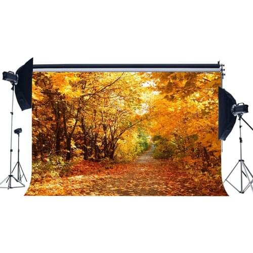 Autumn Backdrop Jungle Forest Trees Backdrops Golden Leaves Nature Outdoor Photography Background