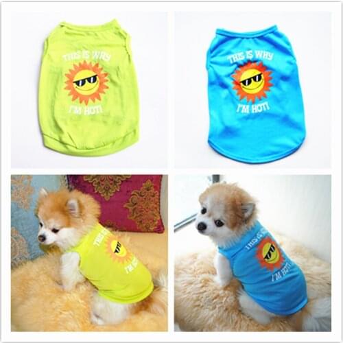 Pet Clothes, Summer Dog T-Shirt Breathable Cat Vest Outfit for Puppy Small Dog Cat