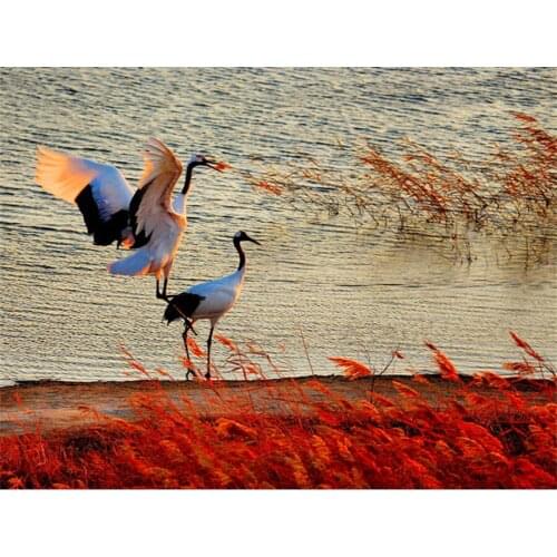 Yumeart Diamond Painting Red-crowned Crane Diamond Embroidery Picture Rhinestone Mosaic Full Square Cross Stitch Home Wall Decor