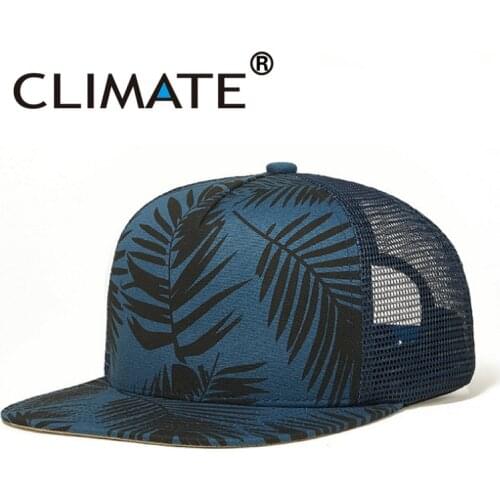 CLIMATE Skateboards And Scooters