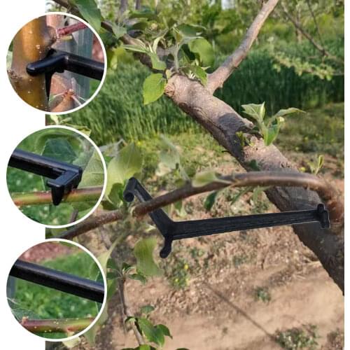 800pcs Plastic Green Grape Rattan Gardening Vine Climbing Plants Twist Ties Cable Tie Lines Garden Training Wire Holding Branch