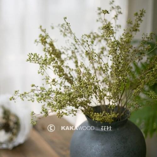 Northern European-Style Soft Design Accessories Plant Dried Flowers Eternal Dry Bouquet Fruit Eucalyptus Fruit Millet Fruit